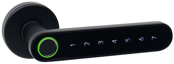 Smart Touch Handle H.03 klika s otiskem prstů